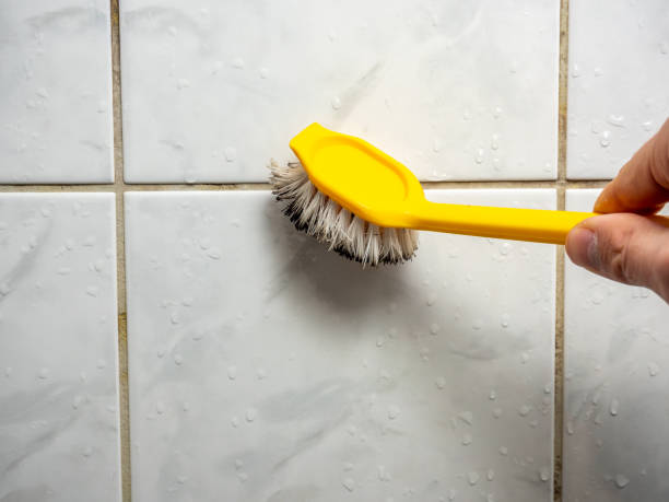 Best Mold Removal Specialists  in Greenbriar, FL