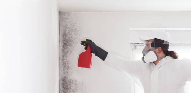 Best Mold Remediation Services  in Greenbriar, FL