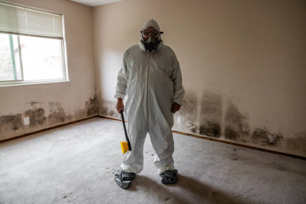 Water Damage Restoration in Greenbriar, FL